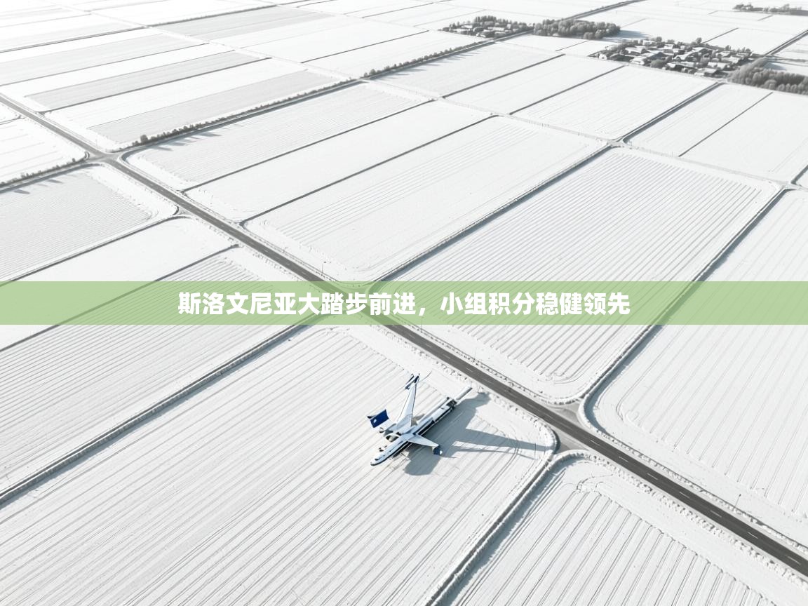 斯洛文尼亚大踏步前进,小组积分稳健领先 第1张