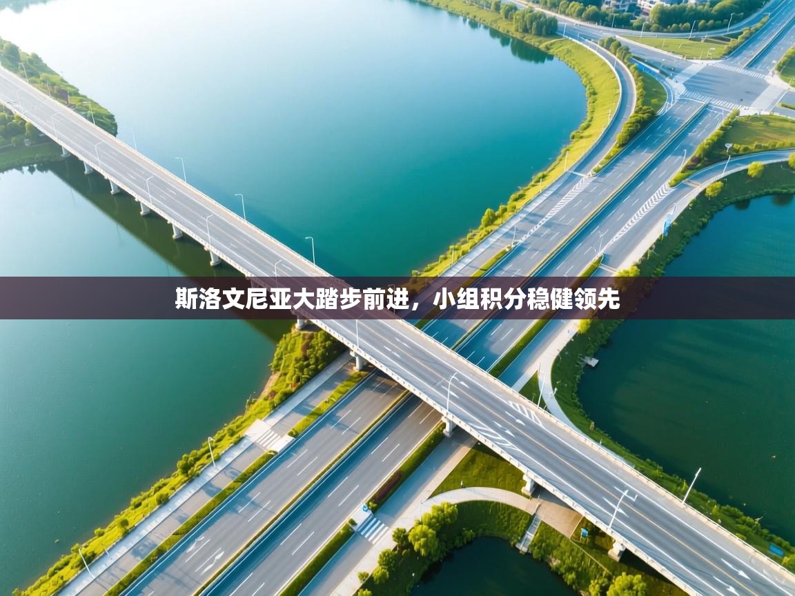 斯洛文尼亚大踏步前进,小组积分稳健领先 第2张