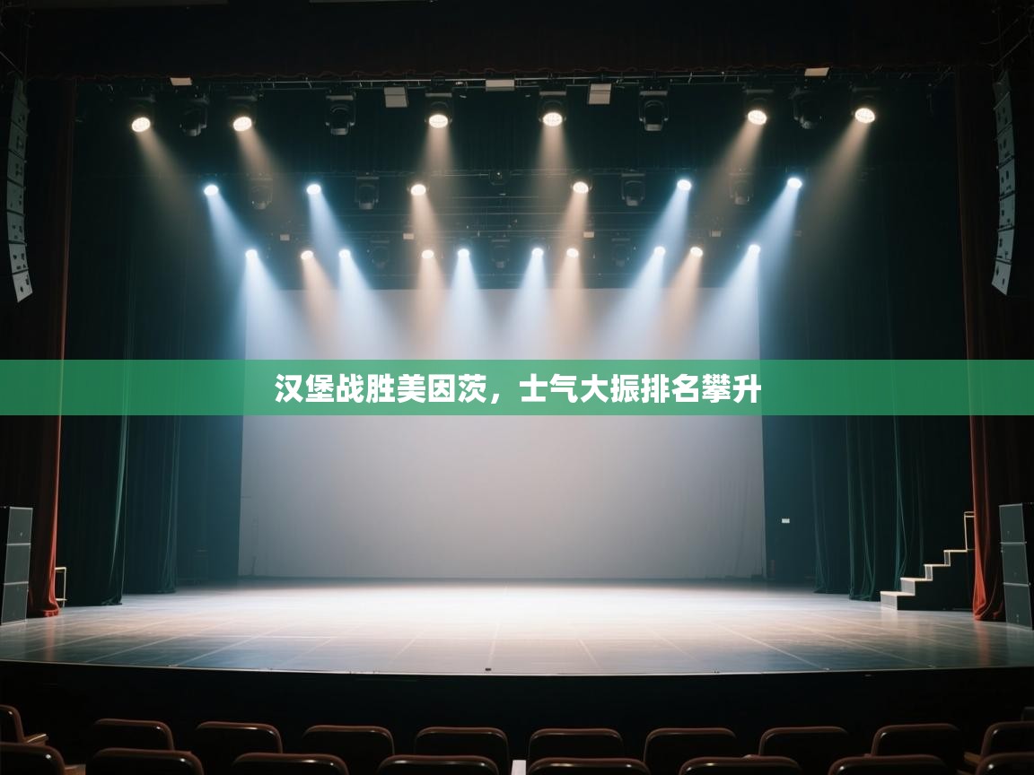 汉堡战胜美因茨，士气大振排名攀升  第1张