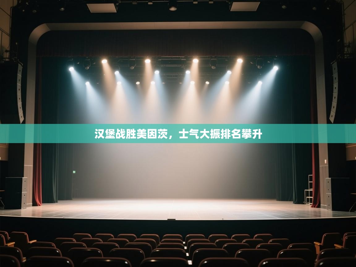 汉堡战胜美因茨，士气大振排名攀升  第2张